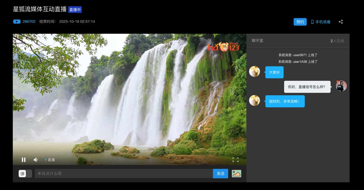 视频流媒体管理系统