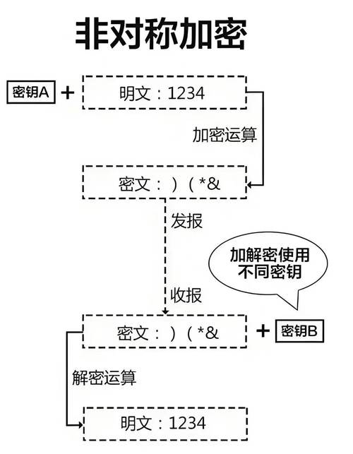 软件开发中源码加密的重要性及加密工具选择考量?