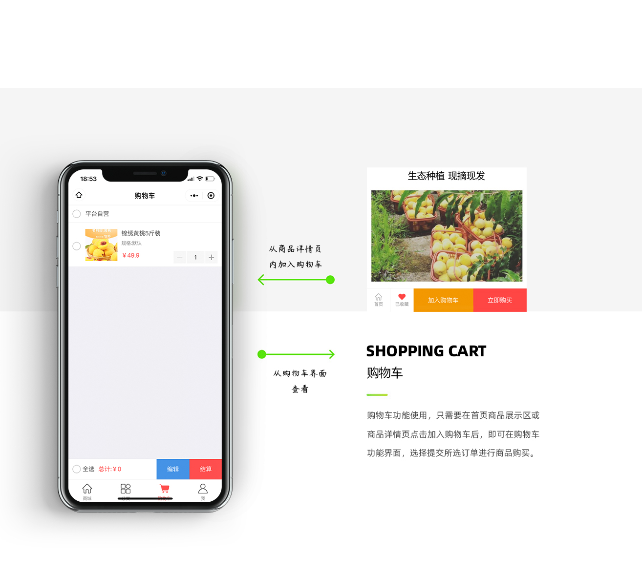 28525756435971264-老月龄黄桃小程序-详情页_04-1