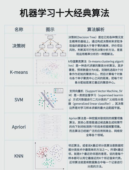 CP源码论坛：算法学习的宝贵平台，如何帮助开发者从基础到精通？