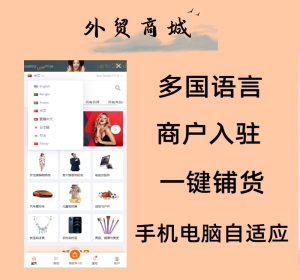 跨境电商多商户多语言多货币一键采集外贸商城运营级