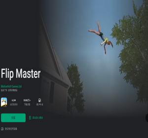Flip Master【游戏代码】