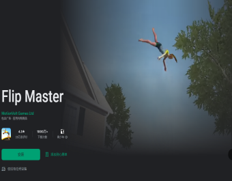 Flip Master【游戏代码】