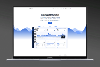 【独家运营版】强大的在线网站访客视频统计,网站访问统计系统,竞价分析系统附带详细安装使用教程