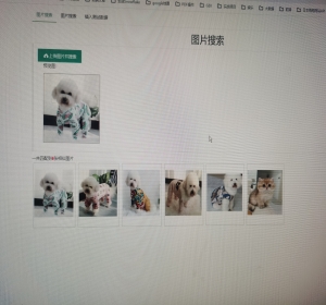 c#  结合AI 模型 开发的以图搜图，源代码，可以网站内搜索，或者改造成本地搜索