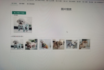 c#  结合AI 模型 开发的以图搜图，源代码，可以网站内搜索，或者改造成本地搜索