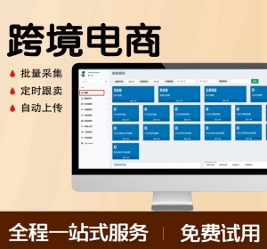 跨境电商系统开发，erp管理系统，对接的lazada shopee