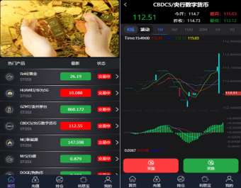 全新二开框架微盘系统/黑色理财外汇系统